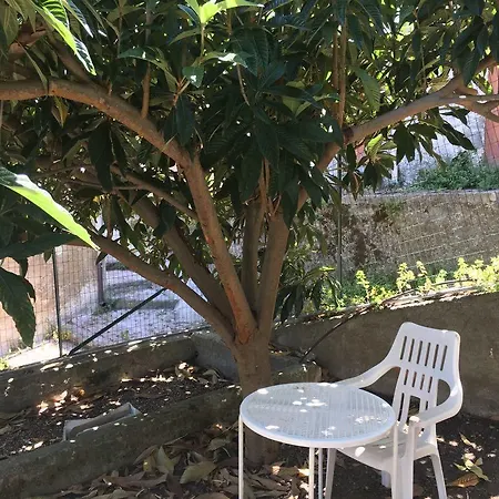 Lemon Tree 別荘 *