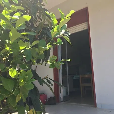 度假居 Lemon Tree *